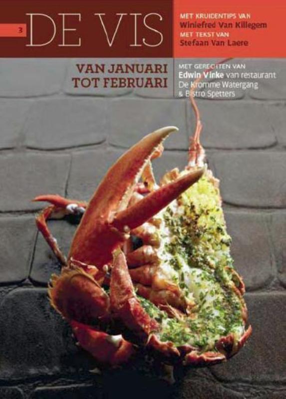 De vis 9789053497029 E. Vinke, Boeken, Kookboeken, Zo goed als nieuw, Verzenden