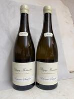 2023 Etienne Sauzet - Puligny Montrachet - 2 Flessen (0.75, Verzamelen, Wijnen, Nieuw