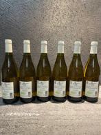 2019 Ca La Bionda Bianco del Casal - Veneto - 6 Flessen, Nieuw