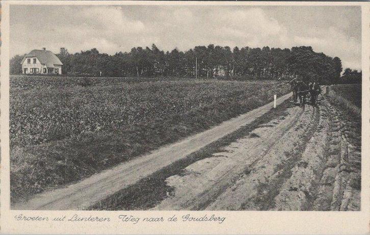 LUNTEREN - Weg naar de Goudsberg, Verzamelen, Ansichtkaarten | Nederland, Verzenden