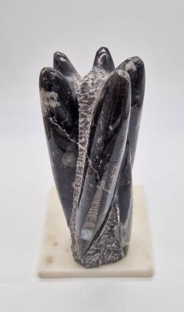 Orthoceras sculptuur beschikbaar voor biedingen