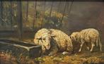 Henry Schouten (1857-1927) - Brebis et agneau dans la, Antiek en Kunst