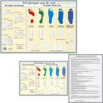 Anatomie poster voet en voetafwijkingen (NL, A2 + A4), Nieuw, Verzenden