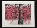 2 (Weeping Cherry II) - Sakura Cherry Blossom -