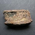 Nederlands-Indië. Schaarse Koperen Bonk van 2 Stuivers 1810