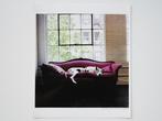 Jim Cooper - Harlequin Great Dane sleeps on the sofa, New