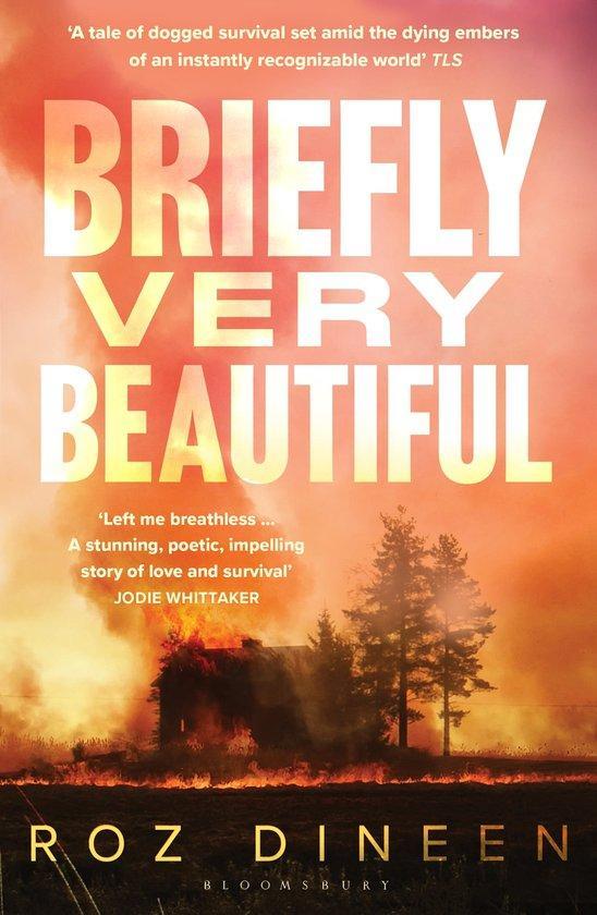 Briefly Very Beautiful 9781526659200 Roz Dineen, Boeken, Taal | Engels, Zo goed als nieuw, Verzenden