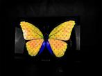 Mike Blackarts - Elegant Butterfly with diamonds