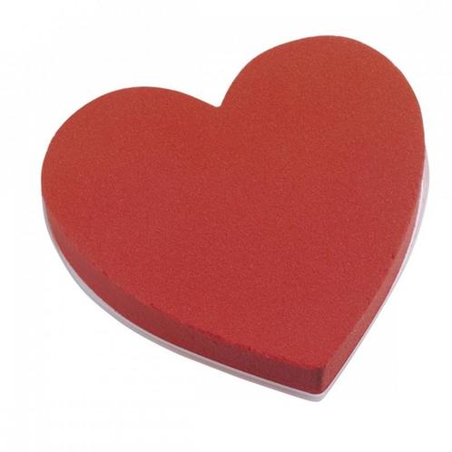 Actie Heart OASIS® RAINBOW® Rood Oasis© Rainbow©, Huis en Inrichting, Woonaccessoires | Kunstplanten en Kunstbloemen, Nieuw, Ophalen of Verzenden