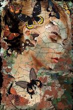 Glasschilderij vrouw met vlinders | 702, Nieuw, Verzenden