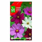 Bloemzaden Cosmea | VT, Verzenden