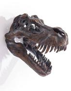 Wanddecoratie - T-rex schedel muurdecor