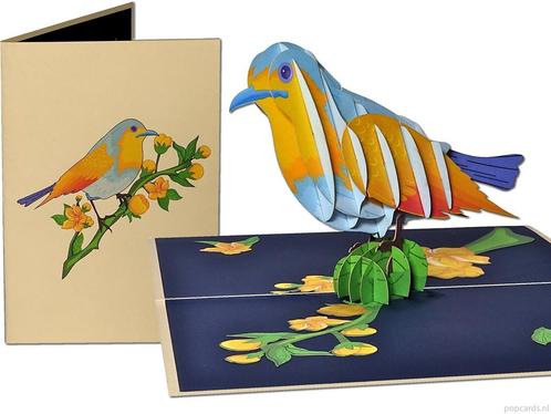 Kleurrijke Siervogel - Pop-up wenskaart vogel, Diversen, Wenskaarten, Verzenden