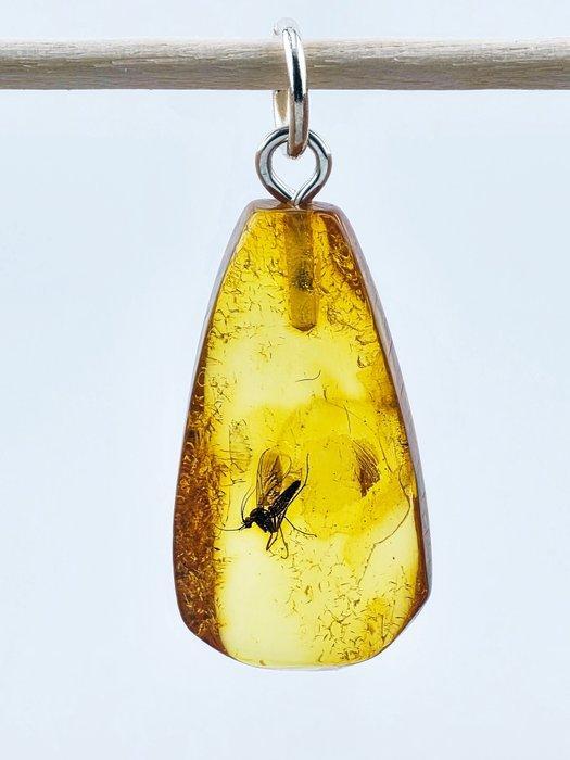 Prachtige honingkleurige Baltische barnsteen hanger – Oud, Antiek en Kunst, Curiosa en Brocante