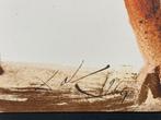 Salvador Dali (1904-1989) - Filius Prodigus, Antiek en Kunst