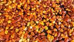 Amber - Barnsteen - Large Lot - 1,8 kg - Rough Baltic Amber, Verzamelen