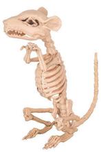 Rat Skelet, Ophalen of Verzenden, Nieuw
