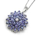 Zonder minimumprijs - Ketting met hanger Zilver, 925