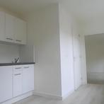 Appartement met Dakterras in Maastricht, Huizen en Kamers, Huizen te huur, Direct bij eigenaar, Limburg, Maastricht, Appartement