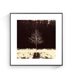 Jorge Omeñaca - A minimal tree