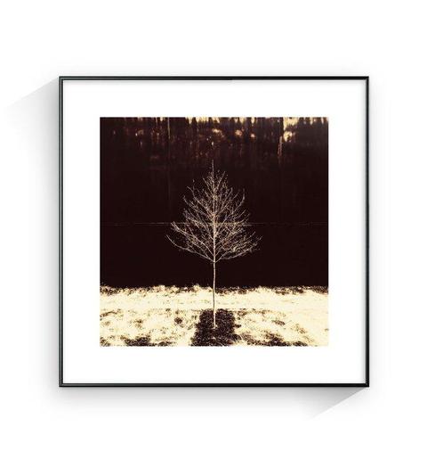 Jorge Omeñaca - A minimal tree, Antiek en Kunst, Kunst | Schilderijen | Modern