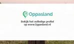 Ik ben Julie, 22 jaar oud en ik zoek oppaswerk in Wijdenes.