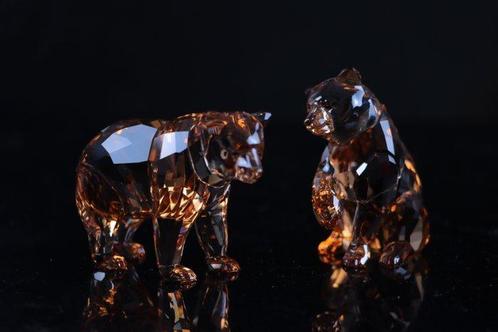 Figuur - Swarovski - Beer jongen 2017 (Boxed + certificate), Antiek en Kunst, Curiosa en Brocante