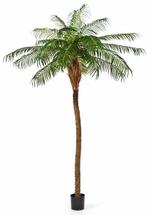 Kunstplant Phoenix Palmboom Deluxe 250 cm