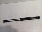 Gasdrukveerset achter Renault Mégane III 1.4 TCe, Ophalen of Verzenden, Gebruikt, Achter, Renault