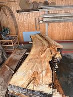 8X Boomstambladen, Beuk, complete partij 570,- REF 775, Doe-het-zelf en Verbouw, Hout en Planken, Nieuw, Ophalen of Verzenden