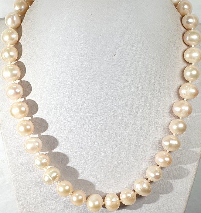 Perlas Naturales tonos Pastel - GROOT - De Glorieuze Staat, Antiek en Kunst, Antiek | Boeken en Bijbels