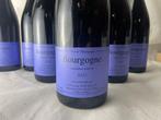 2022 Sylvain Pataille Bourgogne - Bourgogne - 6 Flessen, Nieuw