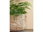 Mica Decorations Avalon Plantenmand - Set van 3 - H32 x Ø44, Tuin en Terras, Bloempotten, Verzenden, Nieuw