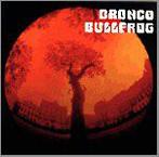 cd - Bronco Bullfrog - Bronco Bullfrog, Verzenden, Zo goed als nieuw
