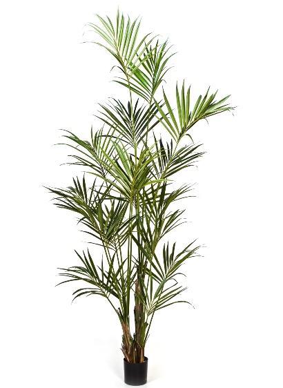 Kunstplant Kentia Palmboom Deluxe 260 cm, Huis en Inrichting, Kamerplanten
