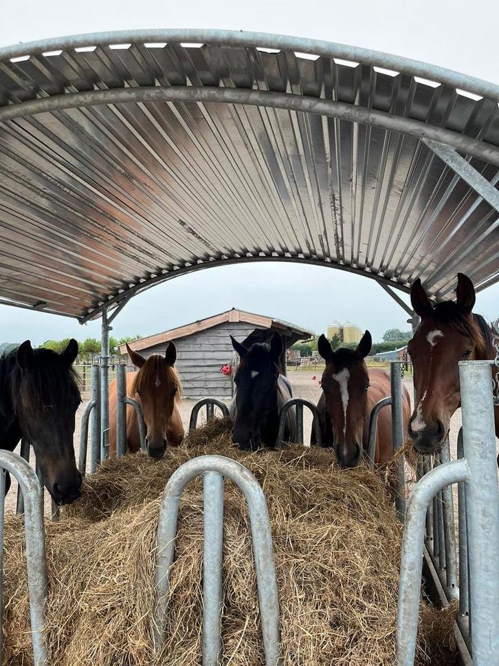 Hooiruif, Voerruif, Weide ruif, Ruiven, Voerruiven, Hooi, Dieren en Toebehoren, Stalling en Weidegang, 4 paarden of pony's of meer