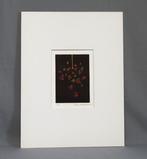 senko hanabi (traditional Japanese sparklers) - Ed 1/50 -
