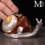 Decoratieve spiraal met natuurlijke schelp en zilverkleurige
