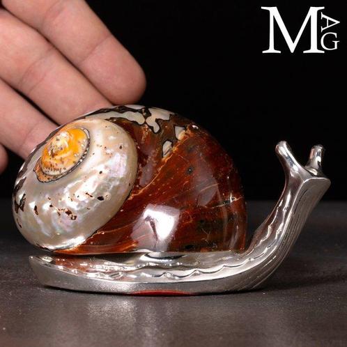Decoratieve spiraal met natuurlijke schelp en zilverkleurige, Verzamelen, Mineralen en Fossielen