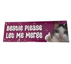Bestie Please Let Me Merge - Bumpersticker - Auto Bumper Sti, Verzenden, Nieuw