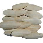 Sepia schalen 5 kilo - Overig - Benodigdheden - Overig, Dieren en Toebehoren, Verzenden, Nieuw