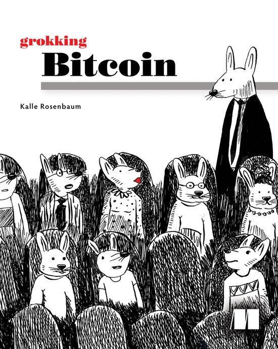 9781617294648 Grokking Bitcoin | Tweedehands, Boeken, Studieboeken en Cursussen, Zo goed als nieuw, Verzenden