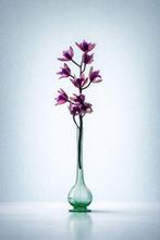 Enrico Camporese - Still Life #1