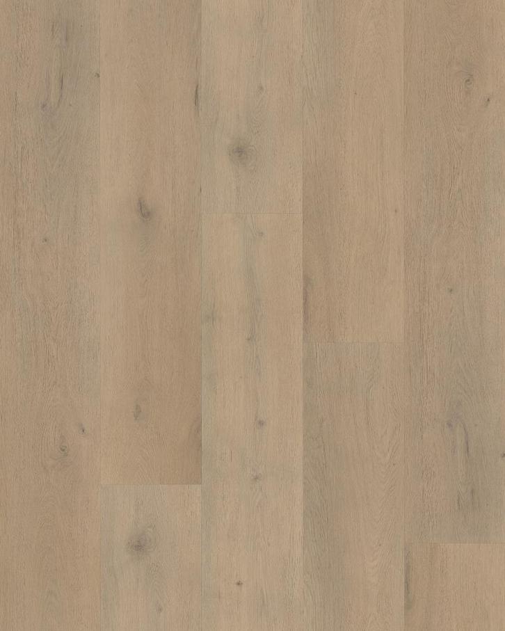 Plak pvc rechte plank licht eiken |  Belakos Attico 820, Huis en Inrichting, Stoffering | Vloerbedekking, Ophalen