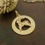 Gouden sterrenbeeld hanger; Steenbok (kettinghanger), Ophalen of Verzenden, Gebruikt, Goud, Overige merken