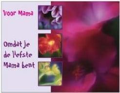 Kaart Omdat je de Liefste Mama Bent, Huis en Inrichting, Woonaccessoires | Kunstplanten en Kunstbloemen, Nieuw, Ophalen of Verzenden