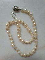 Halsketting perle Parel - Witte goud parel sluiting, Sieraden, Tassen en Uiterlijk, Kettingen, Nieuw