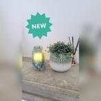 Groene kwarts lamp, Nieuw