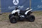 Veiling: Quad Aeon Benzine, Motoren, Quads en Trikes