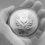Canada. 25 Dollars 2026 – Maple Leaf – 5 oz Silver coin – Ag